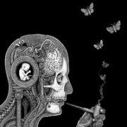 Soen: Cognitive